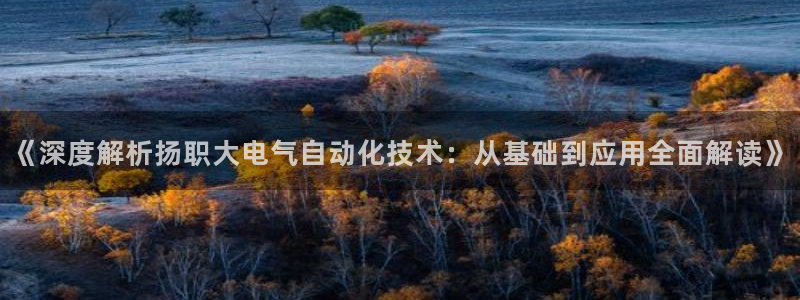 凯发娱乐官方网：《深度解析扬职大电气自动化技术：从
