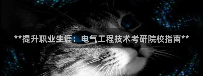 凯发k8国际版官网：**提升职业生涯：电气工程技术