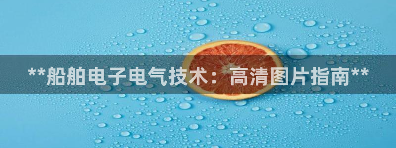 凯发k8网站是多少：**船舶电子电气技术：高清图片